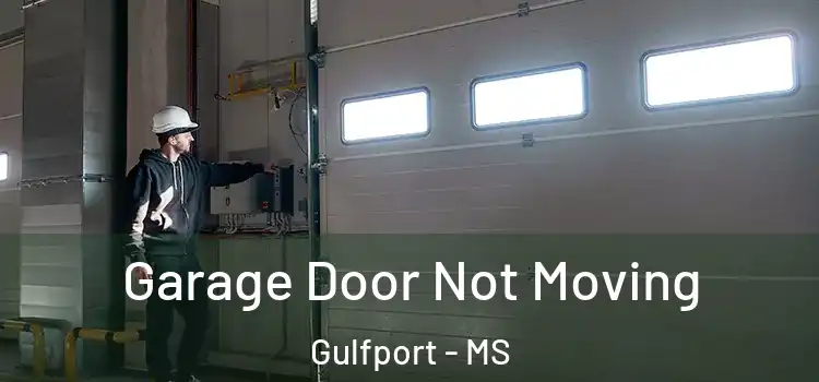  Garage Door Not Moving Gulfport - MS