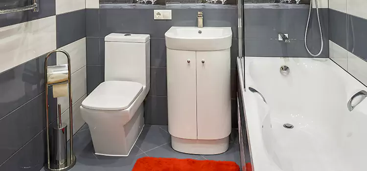 Hansgrohe Shaving Mirror Gulfport